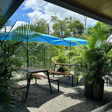 Pura Vibra Hostel La Fortuna Ngoại thất bức ảnh