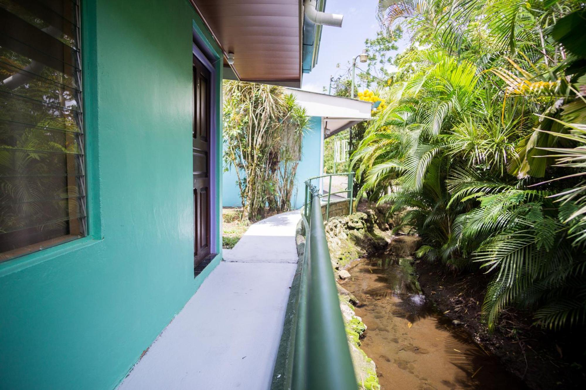 Pura Vibra Hostel La Fortuna Ngoại thất bức ảnh