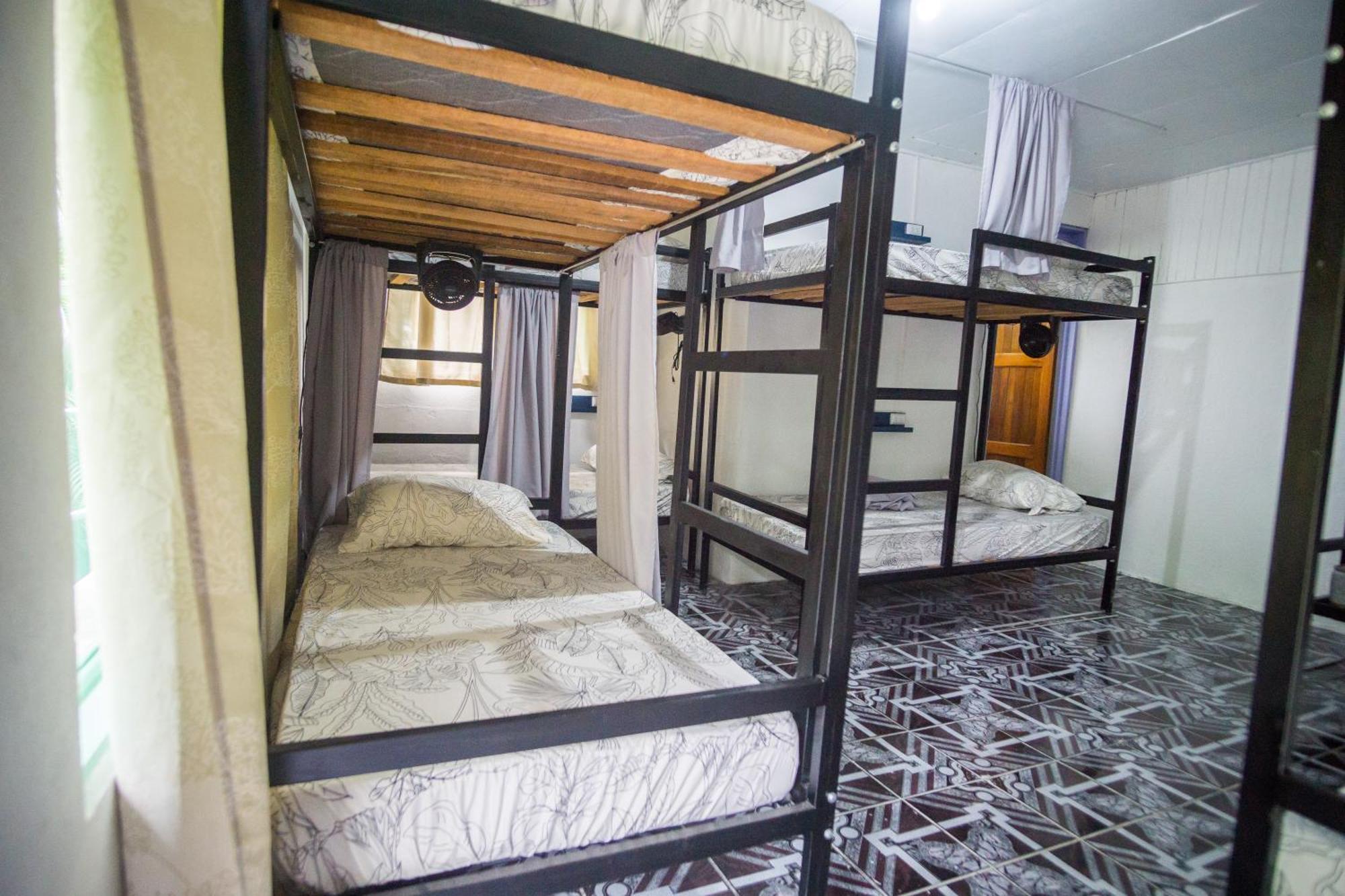Pura Vibra Hostel La Fortuna Phòng bức ảnh